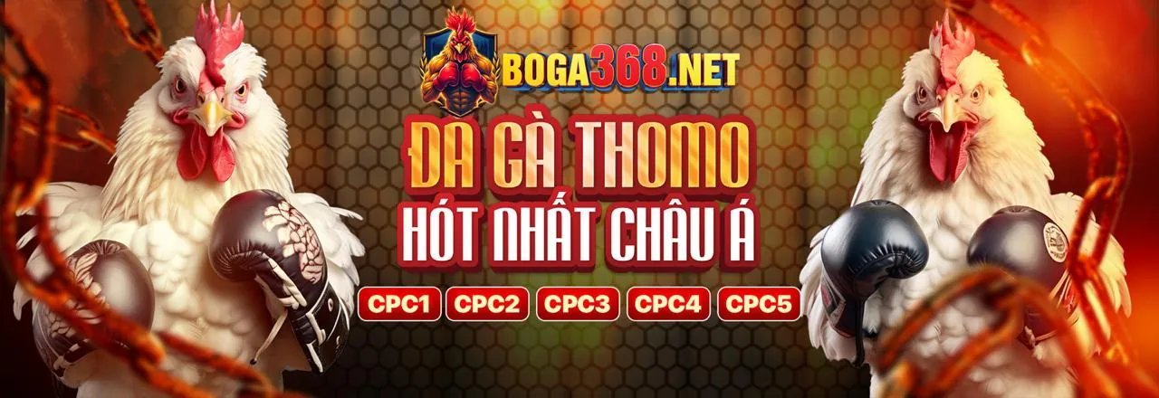 Tiền thưởng nạp tiền hàng ngày và hàng tuần