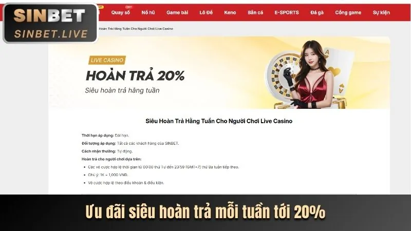 Phân tích hoạt động Luck8